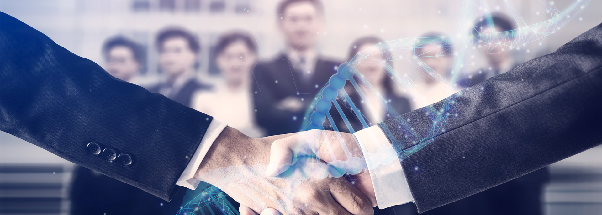 问鼎官方版网站登录入口